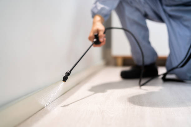 Licensed Pest Control service in Homer Glen, IL - Show Me Pest Control